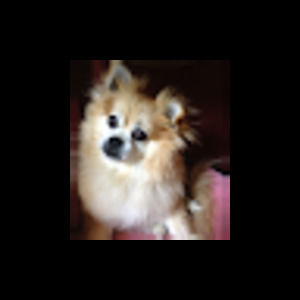 Meet your Posher, Mary